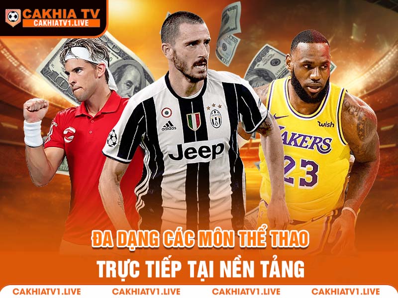 Đa dạng các môn thể thao được phát sóng trực tiếp tại nền tảng