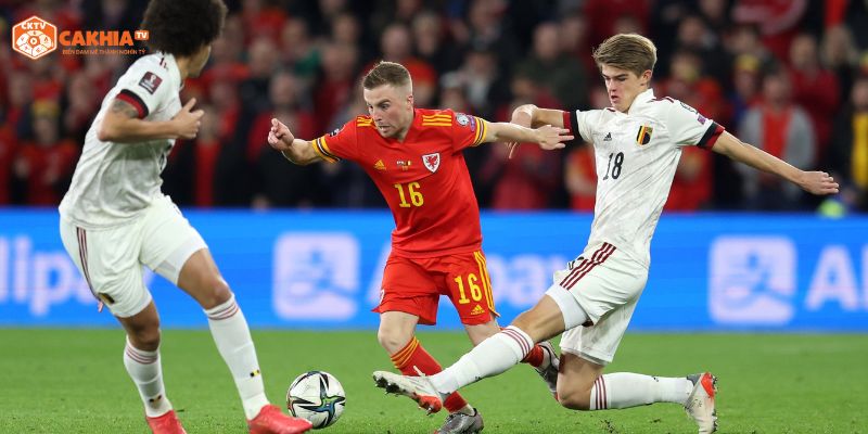 Dự đoán tỷ số chung cuộc trong trận đấu giữa Wales vs Bỉ